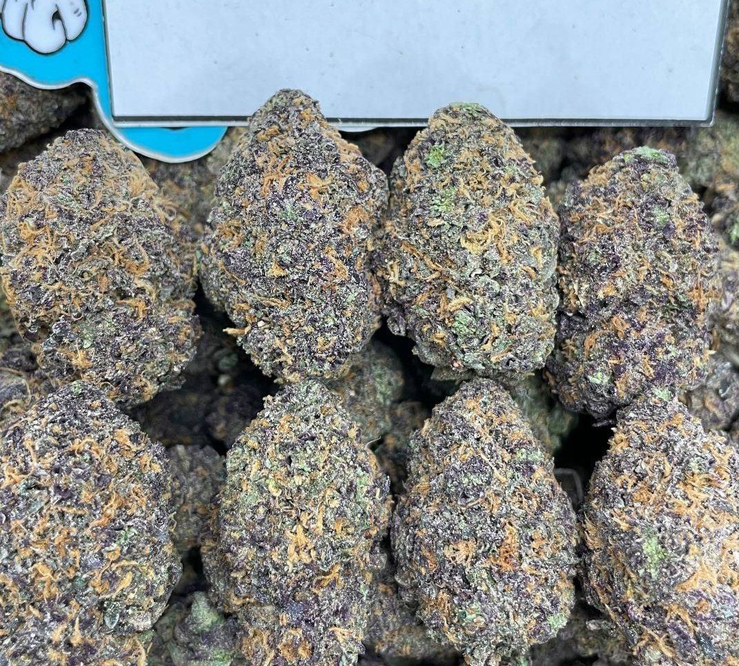 Koop RS 11 Strain - Image 4