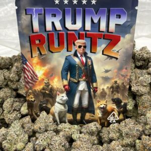 Koop Trump Runtz
