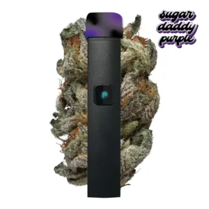 Koop plugplay Disposable,Plug Play Disposable kopen,PLUGplay AIO bestellen NL,Koop Plugplay disposable online Nederland
