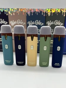 Koop Big chief disposable