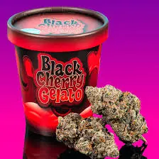Koop black cherry gelato strain
