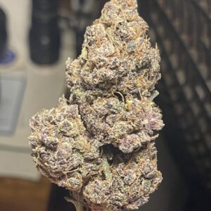 Koop Bubblegum Runtz