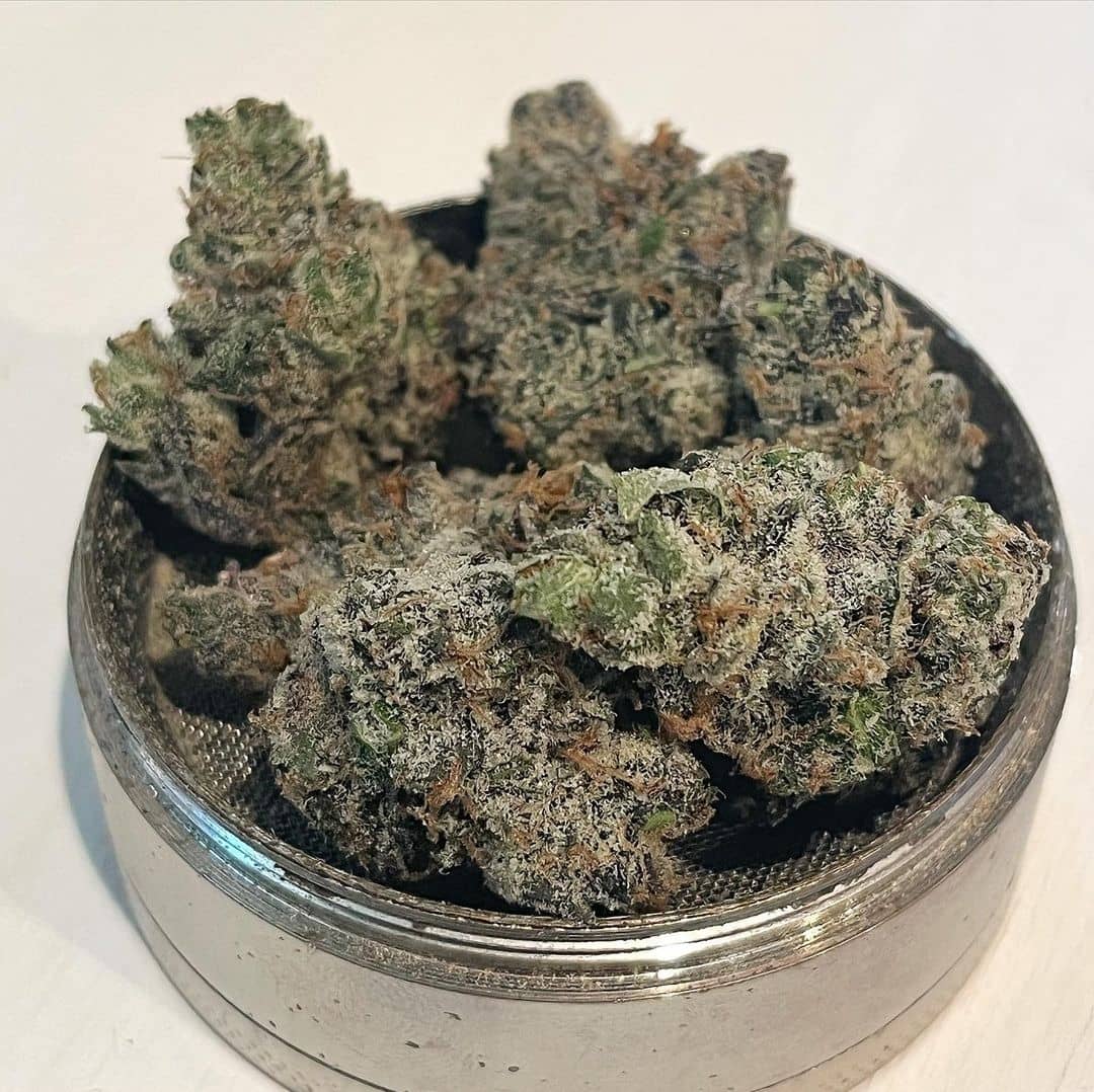 Koop White Cheetoz Strain - Image 3