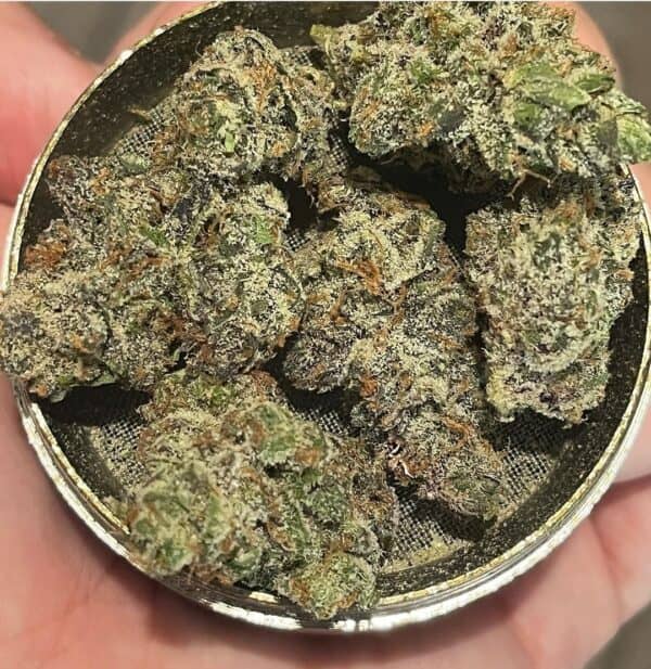 Koop White Cheetoz Strain - Image 4