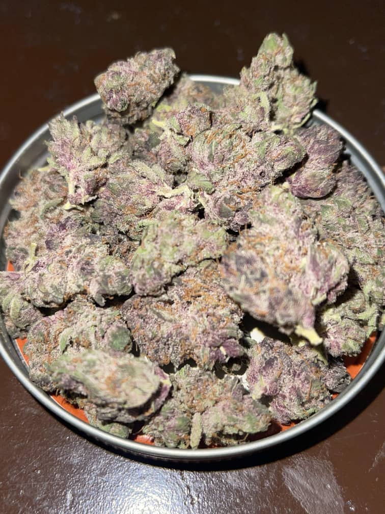 Koop Tropicana Cherry Strain - Image 3