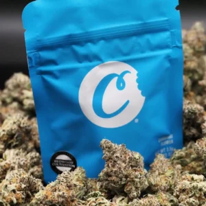 Koop Cookies Strain