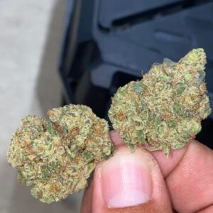 Koop Galactic Candy Strain,galactic wars candy box 2