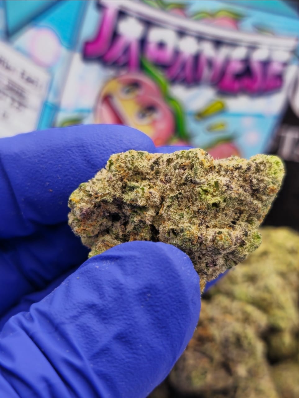 Koop Japanese Peaches Strain