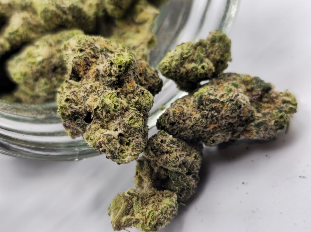 Koop Japanese Peaches Strain - Image 5