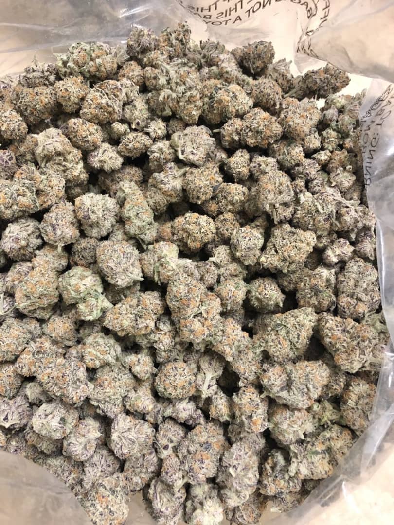 Koop RS 11 Strain - Image 3