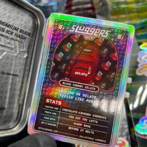 Koop Sluggers Hit Preroll