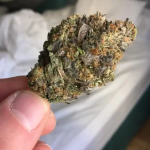 Koop Pink Starburst Strain